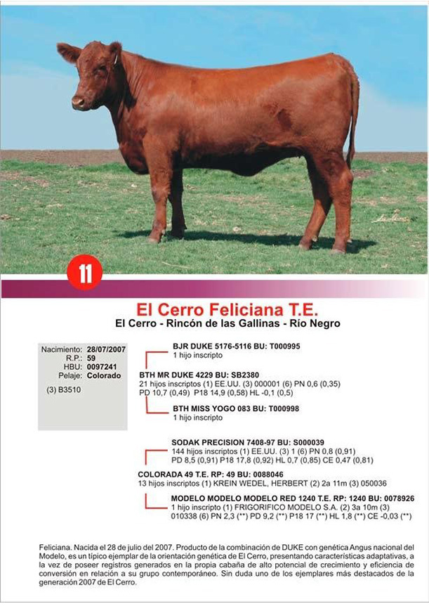 lote11_1