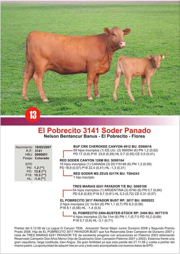 lote13_1