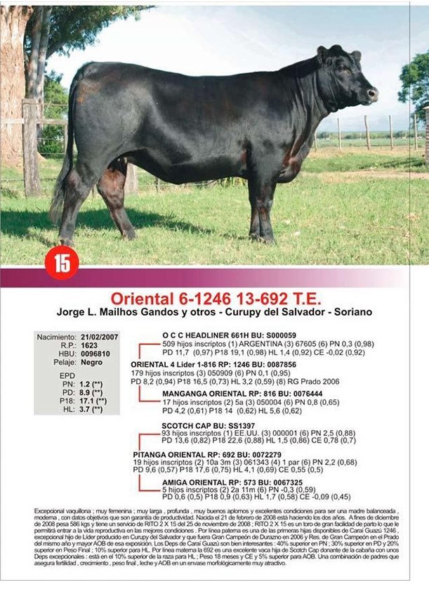 lote15_1