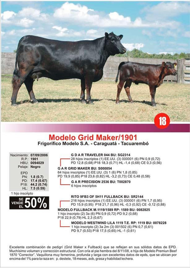 lote18_1