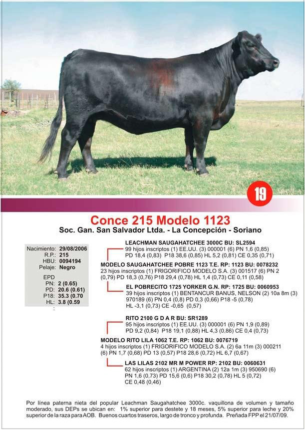 lote19_1