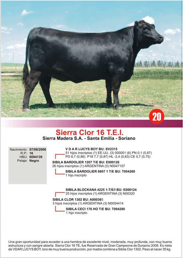 lote20_1