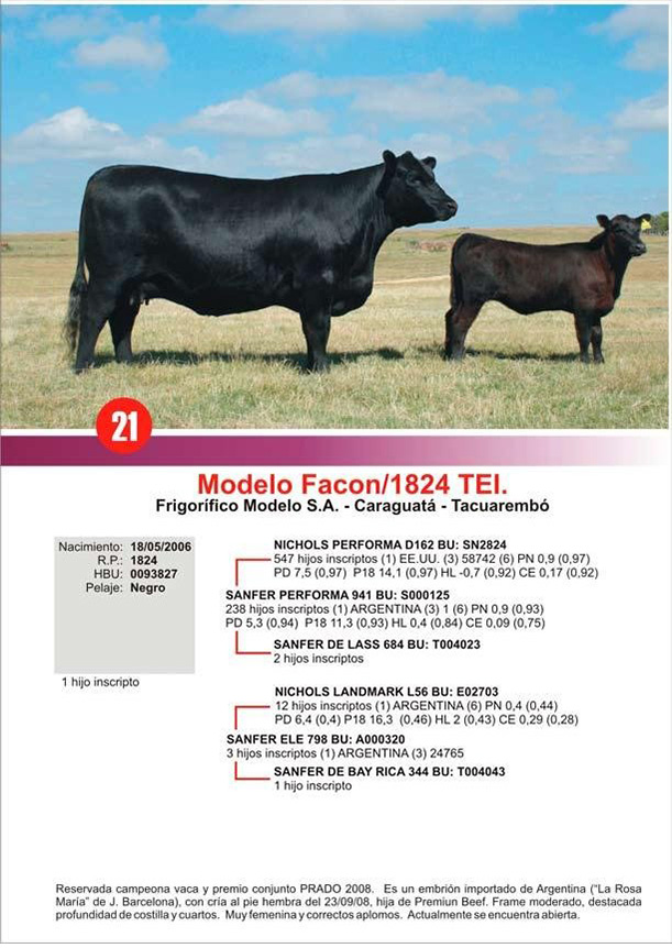 lote21_1