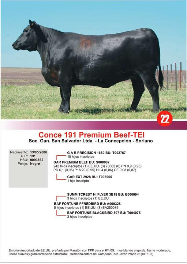 lote22_1