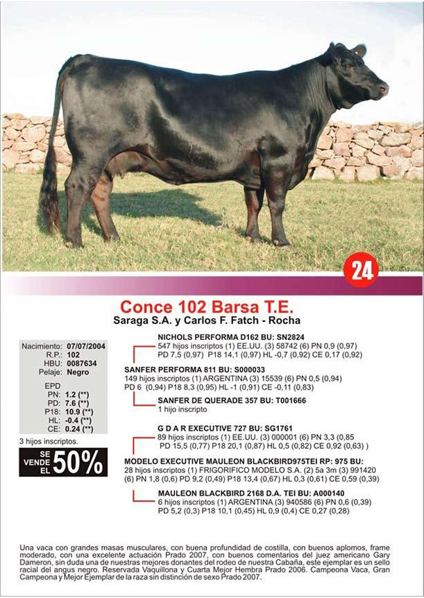 lote24_1