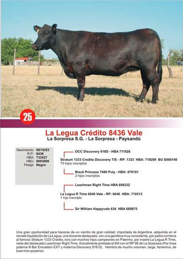 lote25_1